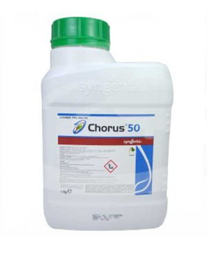 CHORUS – 1 kg