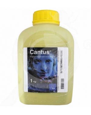 CANTUS – 1 kg