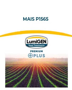 MAIS P1565 LumiGen Standard – 50m semi