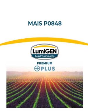MAIS P0848 LumiGen Standard – 50m semi